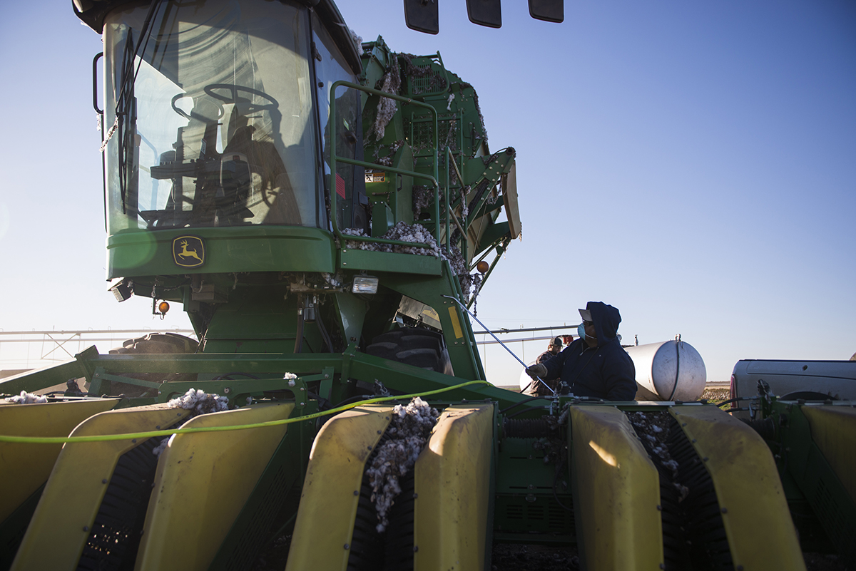 Each morning the equipment is cleaned and maintained while Ty and his crew wait for the humidity to drop enough for them to start pulling cotton.